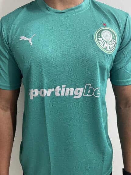 Camisa Palmeiras Treino 2025/26