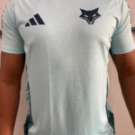 Camiseta Cruzeiro Treino I 2025