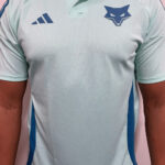 Camisa Cruzeiro Gola Polo Treino 2025/26
